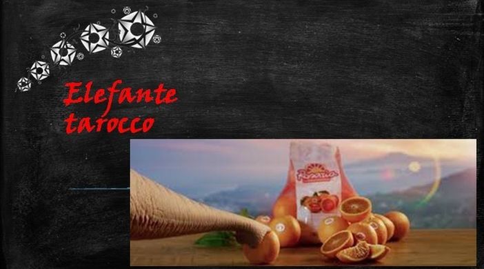 Fellici & Veloci, la nuova Ricetta AutograFATA di Fata Zucchina. Oggi prepariamo l'elefante tarocco Fellici & Veloci, la nuova Ricetta AutograFATA di Fata Zucchina. Oggi prepariamo l'elefante tarocco