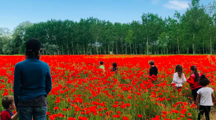 Monstera Futura Aps: lanciata una raccolta fondi per promuovere attività di educazione ambientale in città Monstera Futura Aps: lanciata una raccolta fondi per promuovere attività di educazione ambientale in città