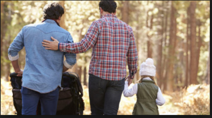 Bravi (PdF): “Illegale trascrivere all’anagrafe bambini con due genitori dello stesso sesso”