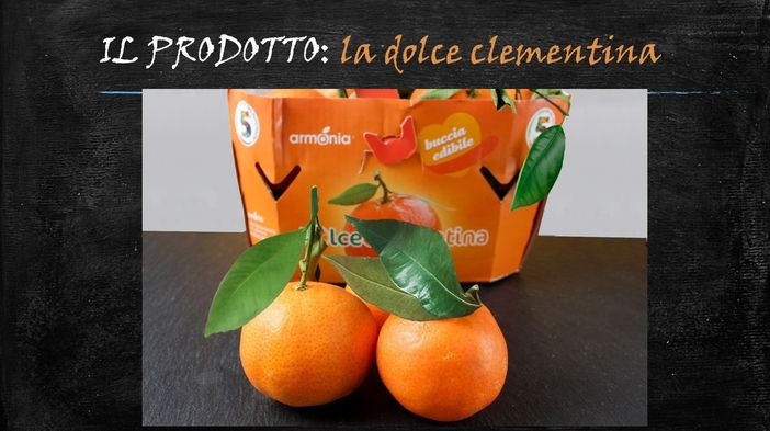 Felici &amp; Veloci, la nuova ricetta AutograFata di Fata Zuccchina: la clementina donata