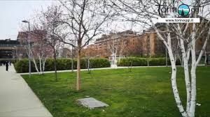 Giardino, alberi e prato