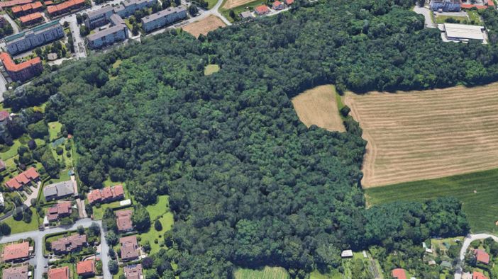 Il M5S Alpignano promuove una campagna per valorizzare il verde pubblico