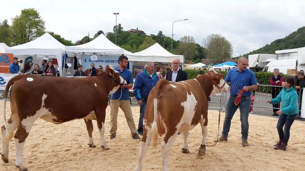 La Pezzata Rossa in vetrina a Caselette domenica 14 aprile