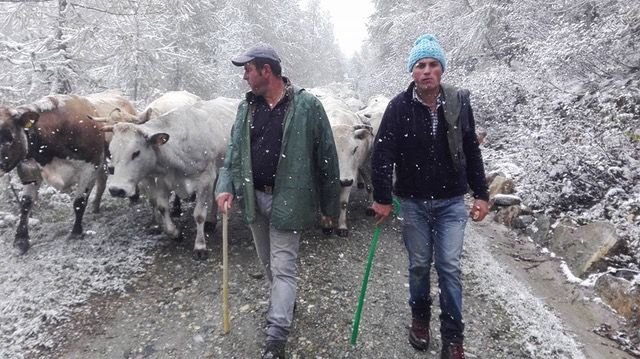 Dopo il successo di Torino (e non solo), la fassoneria arriva a Monza