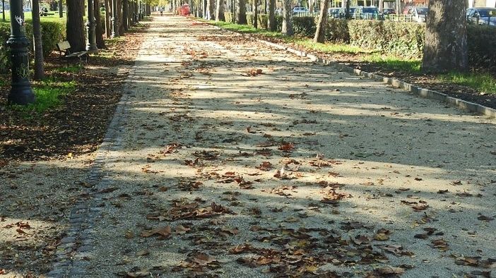 Nuovi viali del Valentino, Tabasso (Torino Bellissima): &quot;Non era meglio investire sulle strade dissestate?&quot;