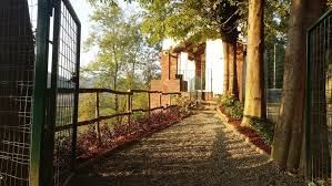 Domani a Pavarolo si possono ammirare litografie di Felice Casorati