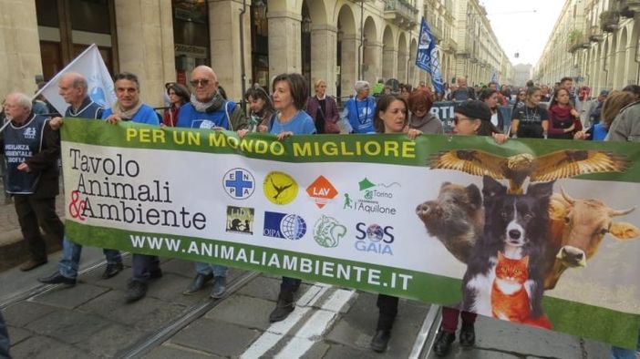 Riapertura Michelotti, Tavolo Animali e Ambiente: "Accogliamo con gioia la notizia della riapertura" Riapertura Michelotti, Tavolo Animali e Ambiente: "Accogliamo con gioia la notizia della riapertura"