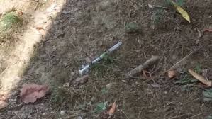 Spaccio e abuso di alcol nei quartieri, i comitati della Circoscrizione 4 a colloquio dal questore Spaccio e abuso di alcol nei quartieri, i comitati della Circoscrizione 4 a colloquio dal questore