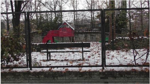 Parco Michelotti: dopo la rinuncia di Zoom, i cittadini chiedono partecipazione