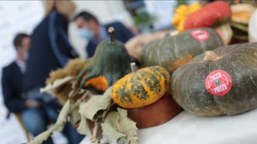 Autunno con Gusto non si ferma, a Piozzo è tempo di &quot;Zucca in cascina&quot;
