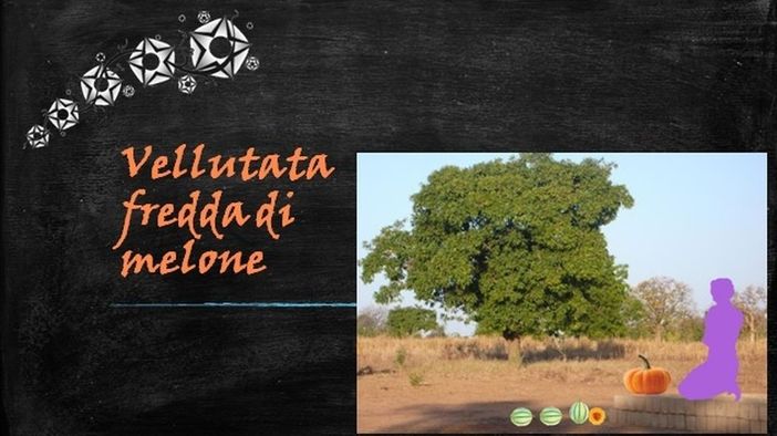Felici e Veloci, la nuova ricetta autograFATA di Fata Zucchina: vellutata di melone