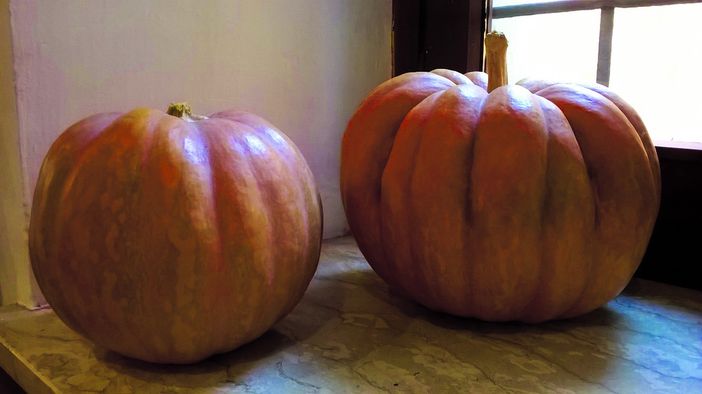Sagra della Zucca a Brandizzo