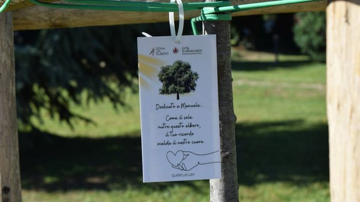 A Grugliasco c'è ancora tempo per "Dona un albero 2026" A Grugliasco c'è ancora tempo per "Dona un albero 2026"