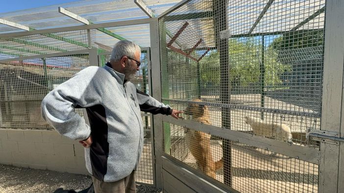 Davino Fazia con i suoi amici a quattro zampe Davino Fazia con i suoi amici a quattro zampe