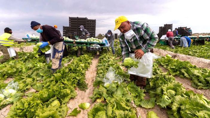 Coldiretti Piemonte: "Servono tempi certi per l’ingresso dei lavoratori stagionali” Coldiretti Piemonte: "Servono tempi certi per l’ingresso dei lavoratori stagionali”