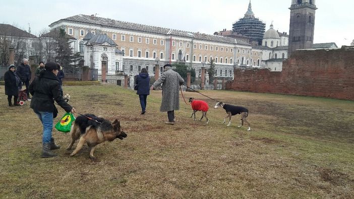 A Torino una nuova area cani alle Porte Palatine: M5S a confronto con i cittadini