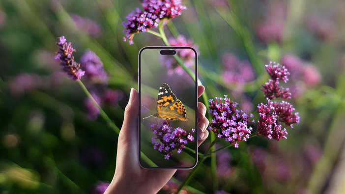 Torino partecipa alla City Nature Challenge 2025