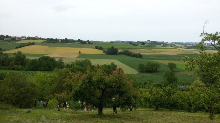 “A piccoli passi”: escursione immersiva per bambini alla scoperta delle colline chieresi