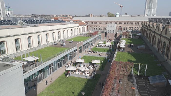 Torino si gode la sua vigna urbana Torino si gode la sua vigna urbana