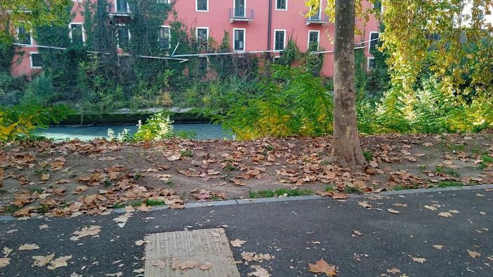 La staccionata scomparsa lungo la Dora La staccionata scomparsa lungo la Dora