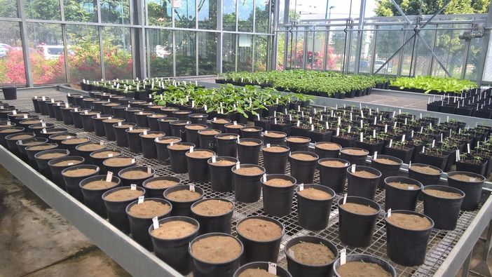 Agroinnova di Grugliasco apre le sue porte e ci difende dall’uso eccessivo di agrofarmaci tutelando salute ed ambiente