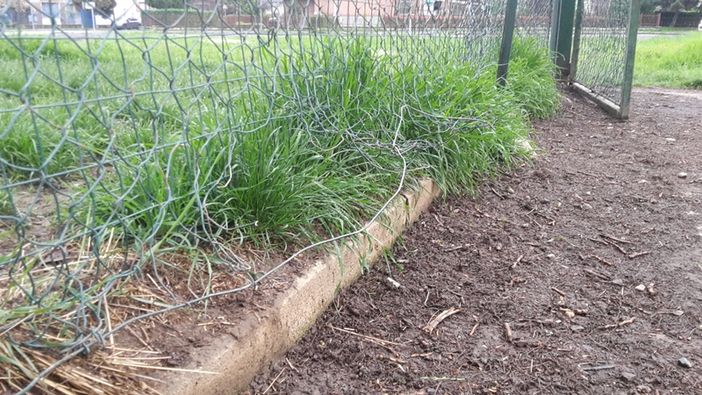 Degrado nell’area cani Salvemini. I padroni: “Gli animali rischiano incidenti, la circoscrizione intervenga”