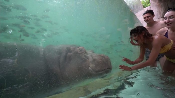 A ZOOM Torino al via i 5 giorni dell'amicizia con l'iniziativa Social Detox