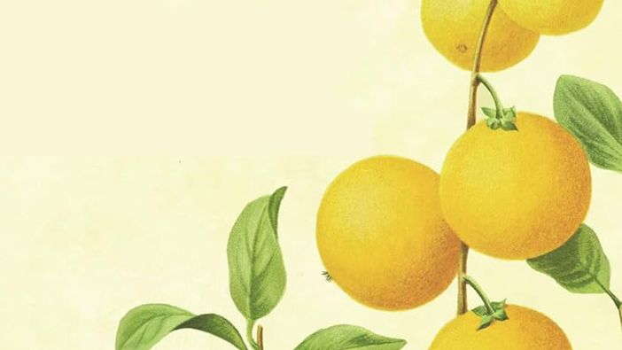 &quot;La salute è nelle tue mani&quot;: domenica presentazione del libro a Villarbasse