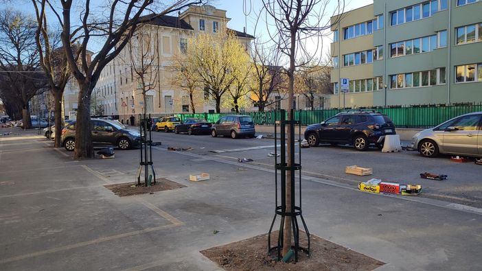 Nuovi alberi nei mercati di corso Svizzera e piazza Barcellona