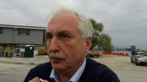 Tav, Foietta alla Camera: "La Torino-Lione è necessaria, ma non è una linea ad alta velocità"