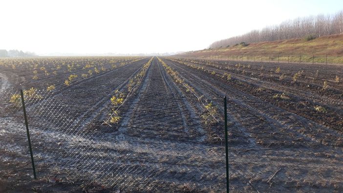 Ue, l'appello di Coldiretti: "Sostenere redditi delle imprese e competitività"