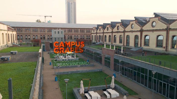 Nasce la prima vigna urbana all’interno del Politecnico di Torino Nasce la prima vigna urbana all’interno del Politecnico di Torino