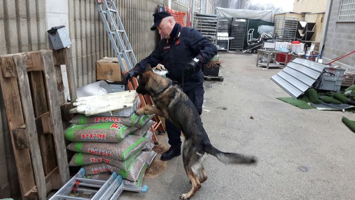 Preparavano e consegnavano pane, focacce e cocaina, chiuso panificio