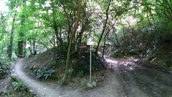 Torino avvia una collaborazione con l’Ordine dei Geologi per migliorare la protezione civile Torino avvia una collaborazione con l’Ordine dei Geologi per migliorare la protezione civile