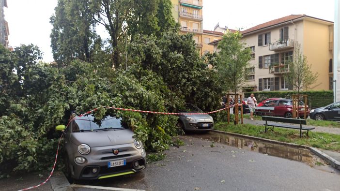 Torino fa i conti col maltempo: pioggia, grandine e alberi caduti (foto di Carlo Granisso) Torino fa i conti col maltempo: pioggia, grandine e alberi caduti (foto di Carlo Granisso)