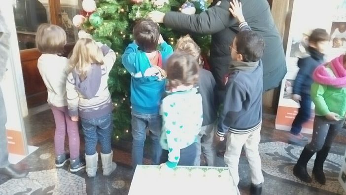 Ecco come smaltire l'abero di Natale naturale ora che sono finite le feste Ecco come smaltire l'abero di Natale naturale ora che sono finite le feste