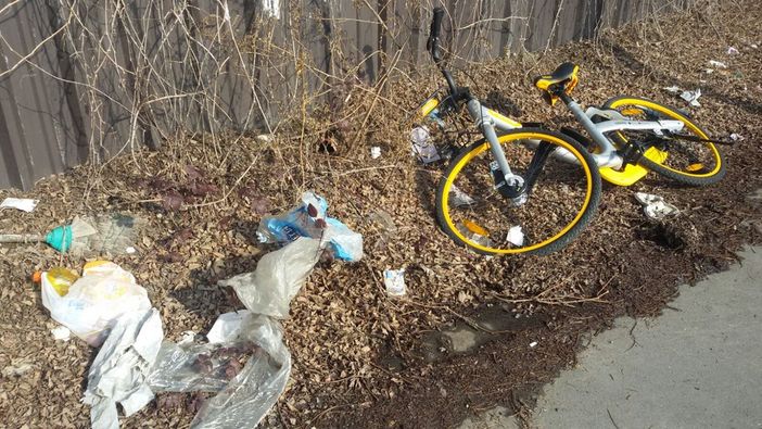 Ancora bici &quot;free&quot; abbandonate: questa volta in via Reiss Romoli in mezzo all'immondizia