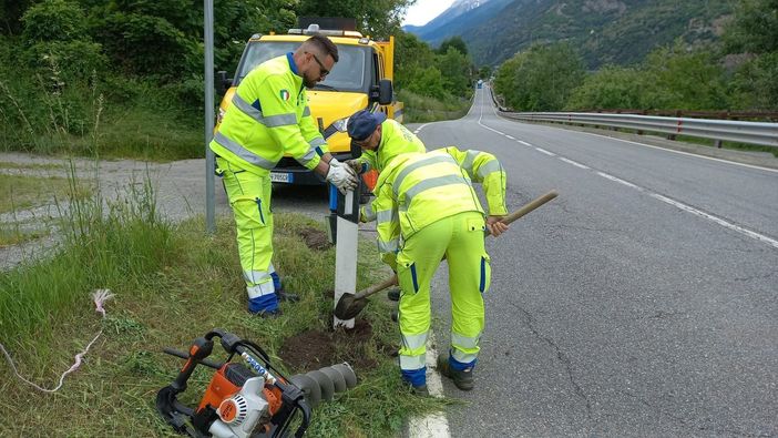 Catarifrangenti blu per prevenire gli incidenti con la fauna selvatica