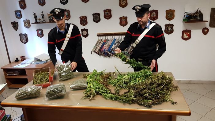 Immagine di repertorio Immagine di repertorio