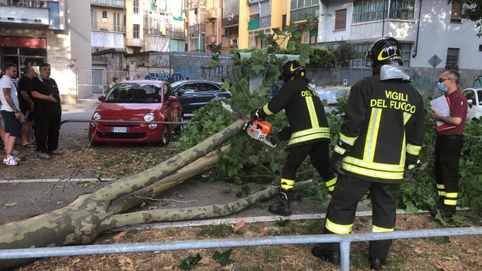 Albero caduto in Corso Montegrappa, Morando (Lega): “Qual è lo stato di salute degli alberi in Circoscrizione 4?” Albero caduto in Corso Montegrappa, Morando (Lega): “Qual è lo stato di salute degli alberi in Circoscrizione 4?”