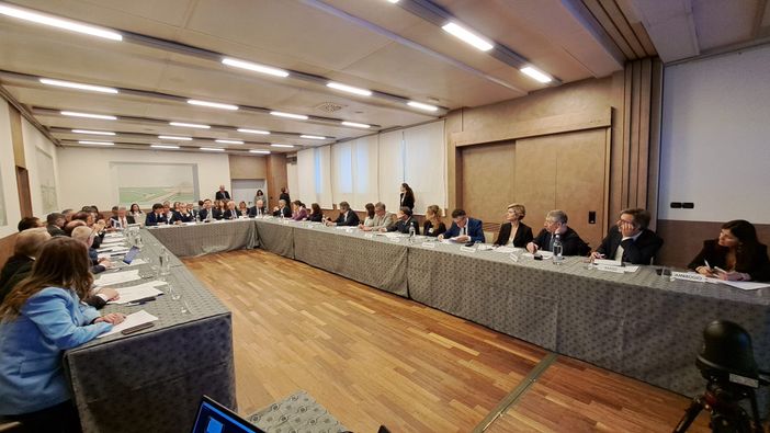 Riunione in sala dell'Unione Industriali di via Vela a Torino Riunione in sala dell'Unione Industriali di via Vela a Torino