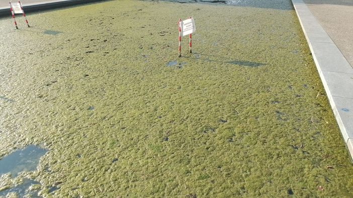 "Sanificazione in corso". Ma le fontane di piazza d'Armi continuano a essere uno spettacolo deprimente, a poche settimane dalle Atp Finals "Sanificazione in corso". Ma le fontane di piazza d'Armi continuano a essere uno spettacolo deprimente, a poche settimane dalle Atp Finals