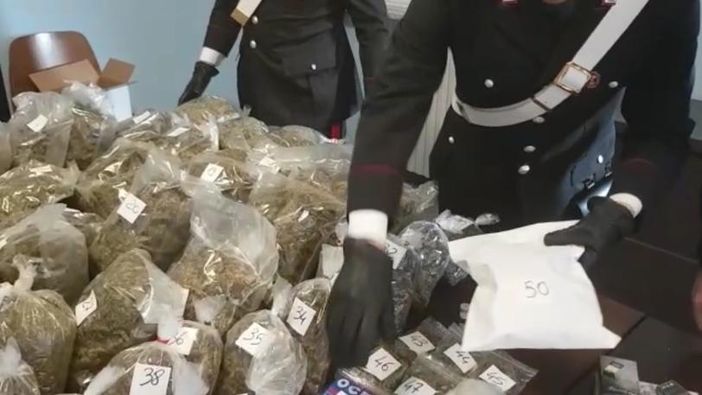 Cani e telecamere a proteggere la marijuana: carabinieri scoprono il &quot;fortino della droga&quot;