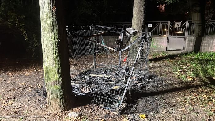 Le fiamme distruggono la "casa dei gatti" sul Lungo Po Michelotti