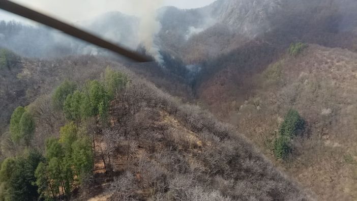 Da domani in tutto il Piemonte proclamato lo stato di massima pericolosità per gli incendi boschivi