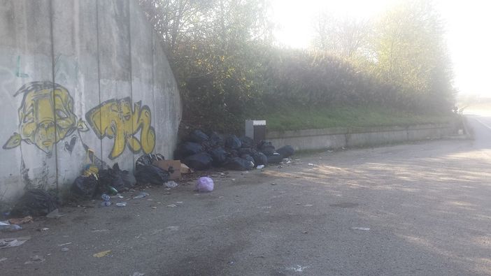 Ma chi sono questi sporcaccioni? Sindaco di La Loggia puoi pensarci tu? (Video &amp; Foto)