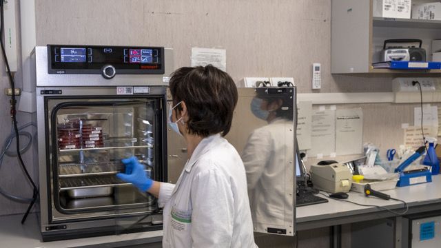 laboratorio medico laboratorio medico