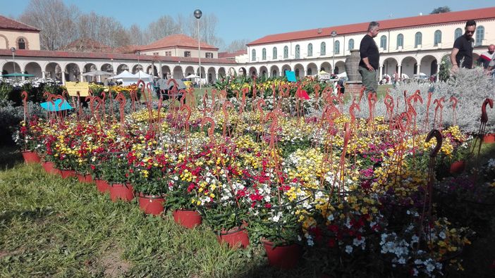 Alla Certosa Reale di Collegno, torna la kermesse &quot;Follia in fiore&quot;