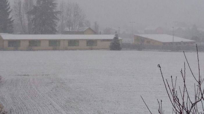 Neve, Coldiretti Piemonte: "Boccata d'ossigeno contro la siccità, ma attenzione alla colture per il gelo" Neve, Coldiretti Piemonte: "Boccata d'ossigeno contro la siccità, ma attenzione alla colture per il gelo"