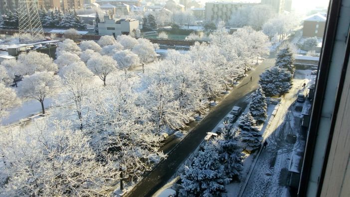 I torinesi si sono risvegliati sotto una coltre di fiocchi bianchi: spazzaneve in azione nella notte (FOTO)